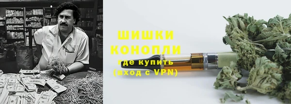 ECSTASY Белокуриха