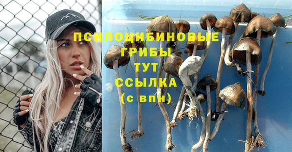mix Беломорск