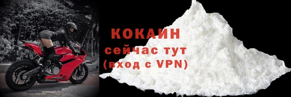 ECSTASY Белокуриха
