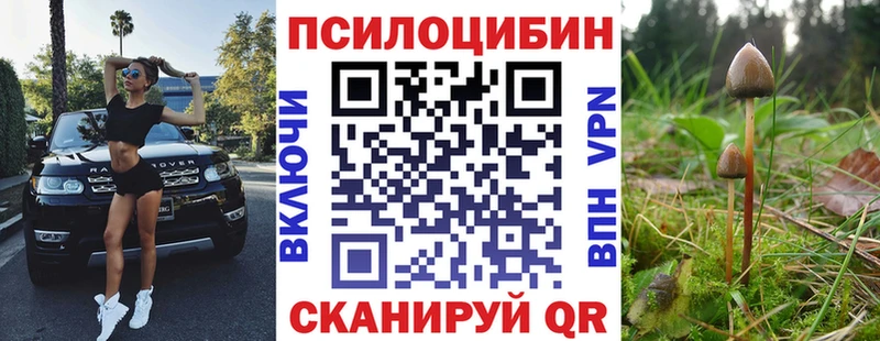Псилоцибиновые грибы Magic Shrooms  даркнет сайт  Светлый 